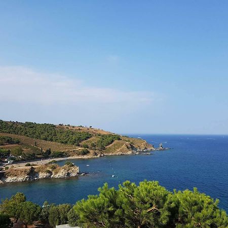 Appartement Profitez De La Vue ! à Banyuls-sur-Mer Extérieur photo
