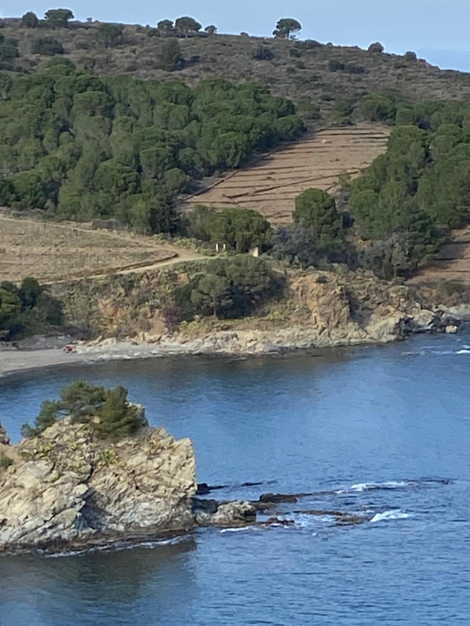 Appartement Profitez De La Vue ! à Banyuls-sur-Mer Extérieur photo