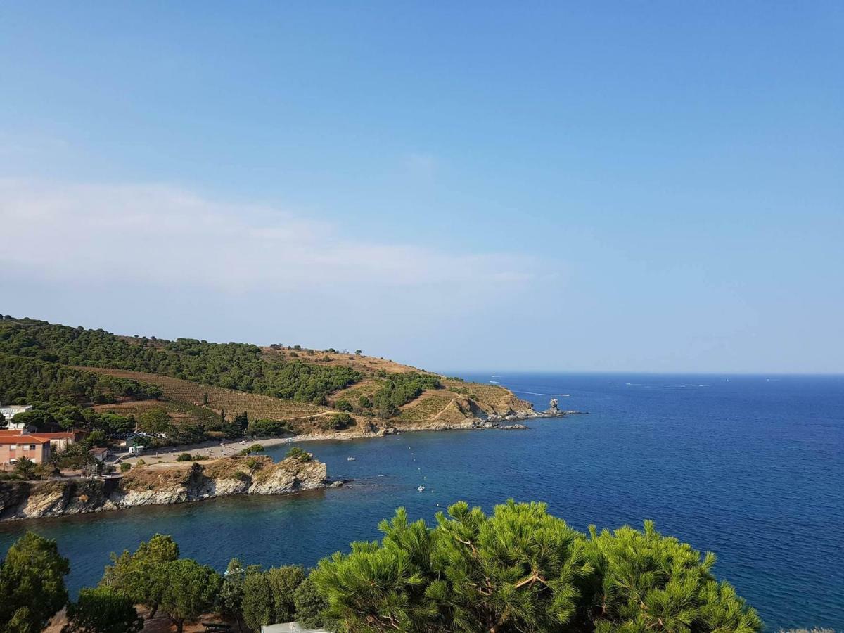 Appartement Profitez De La Vue ! à Banyuls-sur-Mer Extérieur photo